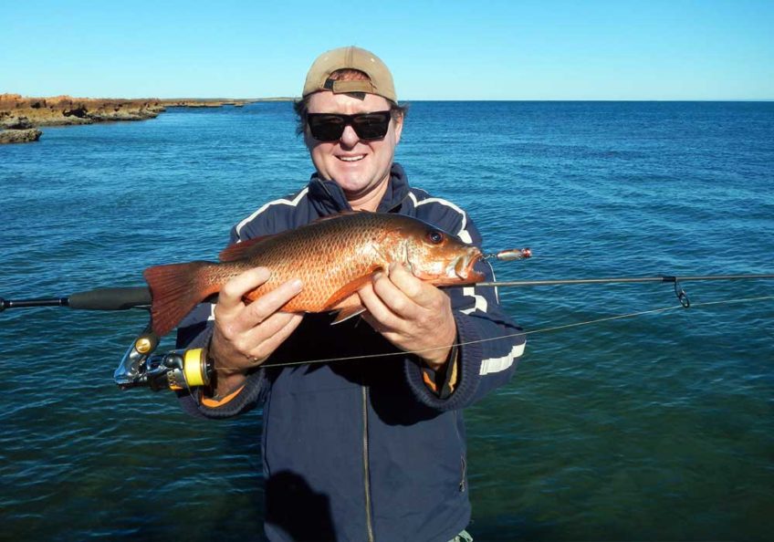Steve Coote’s Trip To Wilderness Island